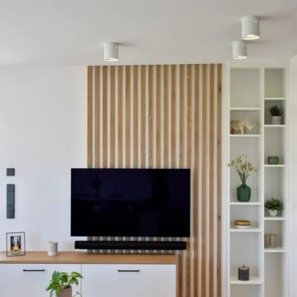 Agencement 4 fonctionnalités : lit escamotable, meuble TV, bureau &  placards - Contemporary - Family Room - Paris - by BeHome Interiors