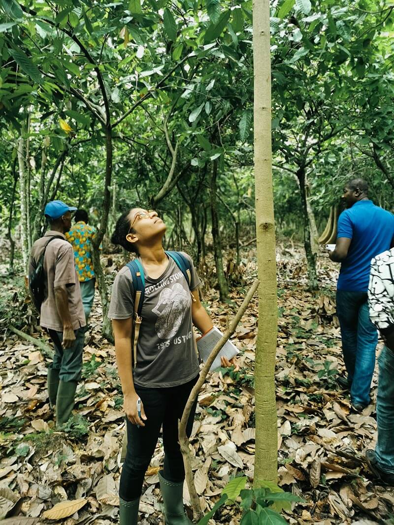 Partenariat Reforest Action par BeHome Interiors pour la Reforestation